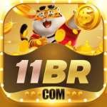 11br Premium BR v5.6.0